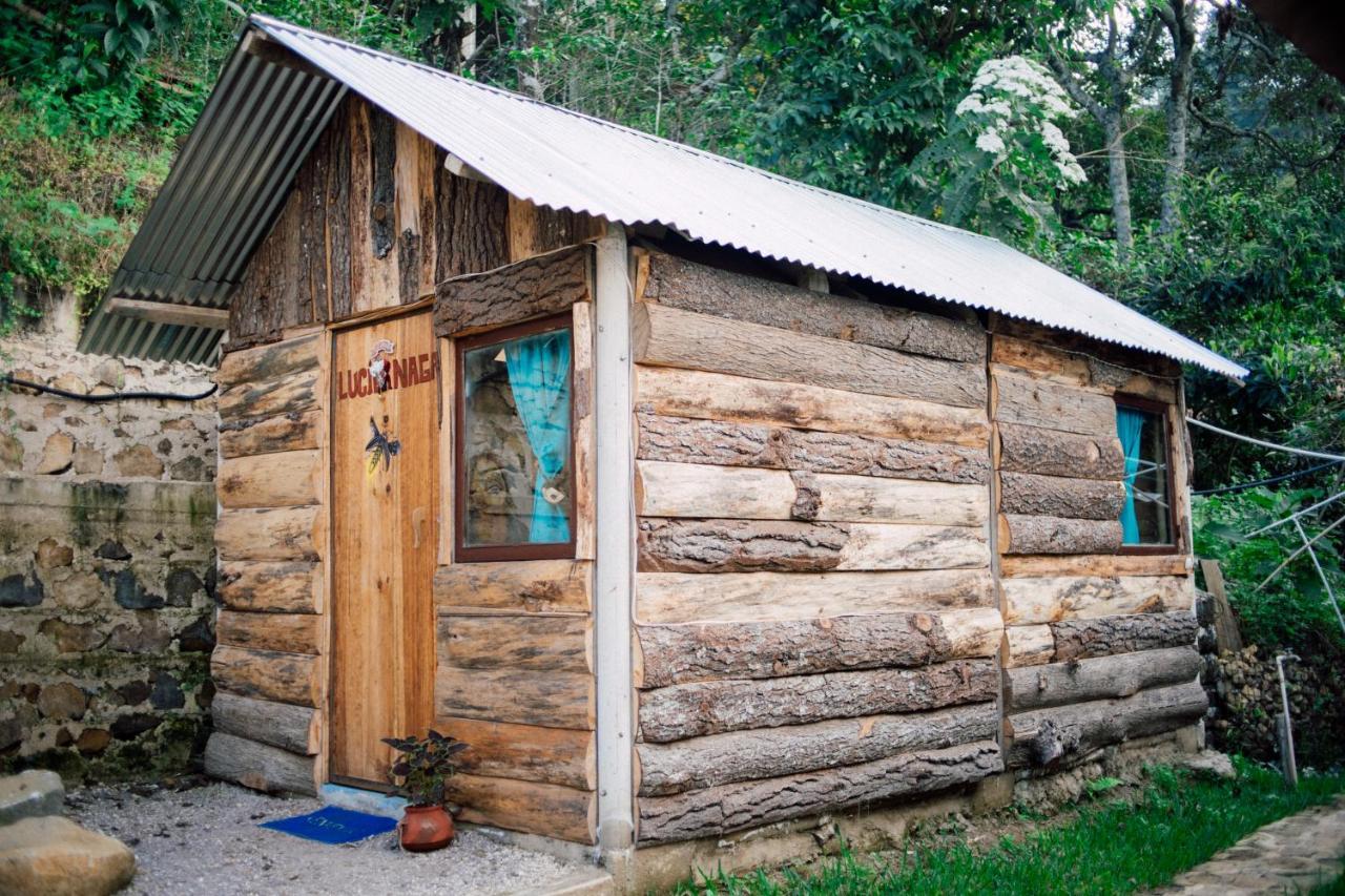 Eco-Hotel Mayachik سان خوان لاجونا المظهر الخارجي الصورة