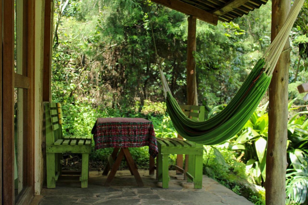 Eco-Hotel Mayachik سان خوان لاجونا المظهر الخارجي الصورة