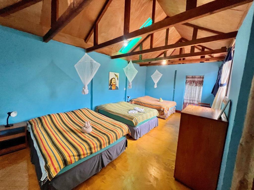 Eco-Hotel Mayachik سان خوان لاجونا المظهر الخارجي الصورة