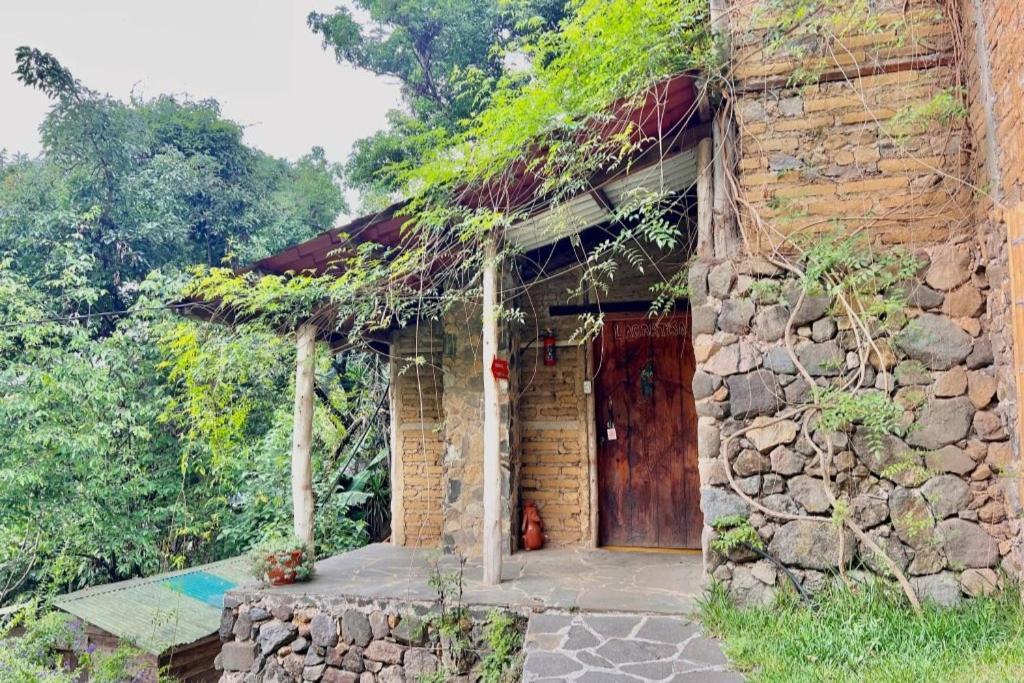 Eco-Hotel Mayachik سان خوان لاجونا المظهر الخارجي الصورة